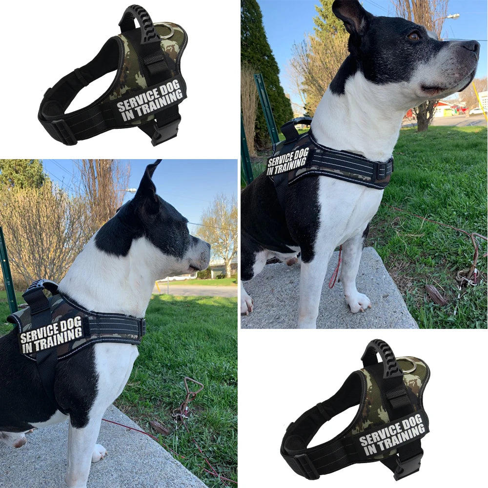 Dog harness Nylon Adjustable for dogs vest collar small large Chihuahua husky dog accessories dropshipping