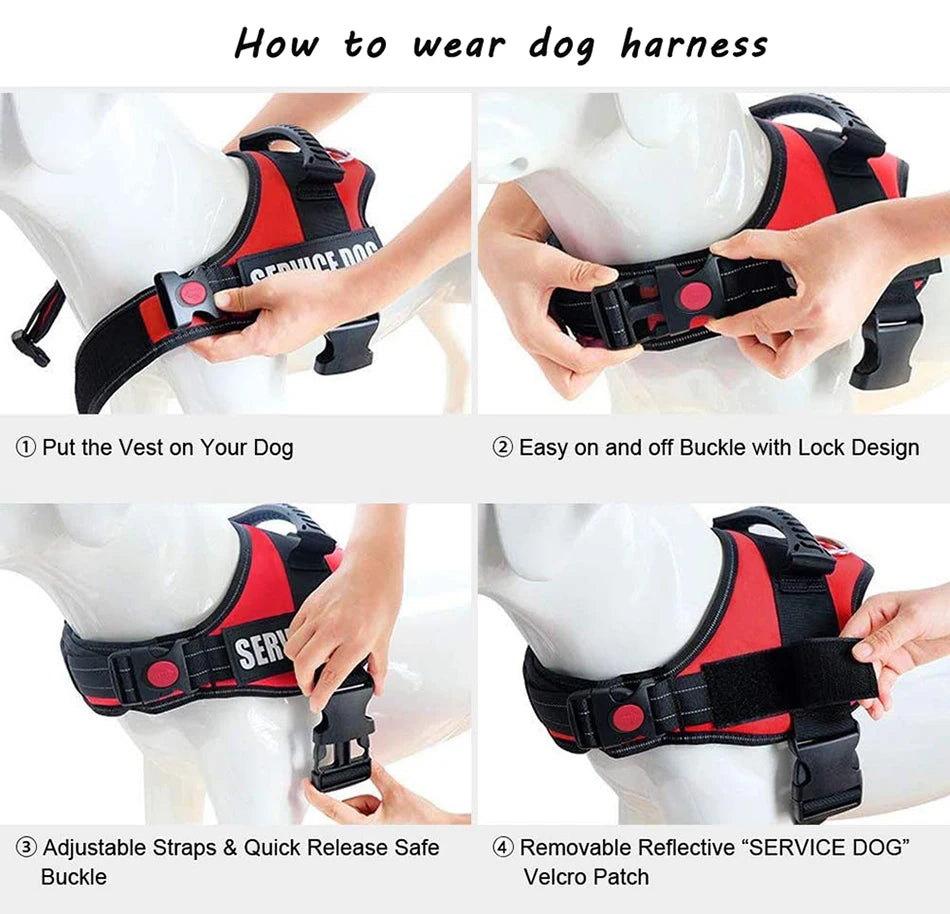 Dog harness Nylon Adjustable for dogs vest collar small large Chihuahua husky dog accessories dropshipping