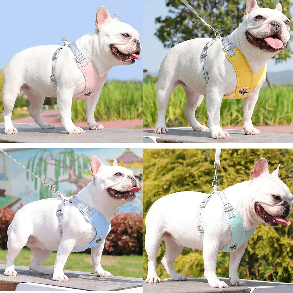 Dog Harness and Leash Set Adjustable No-Pull Pet Harness for Small/Medium Dogs, Comfortable & Secure for Walking