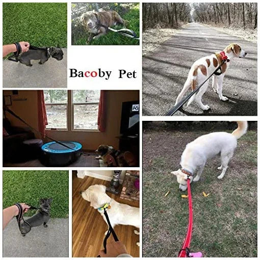 Dog Leashes Outdoor Travel Dog Training Chain Heavy Duty Double Handle Lead for Greater Control Safety Training Dual Handle