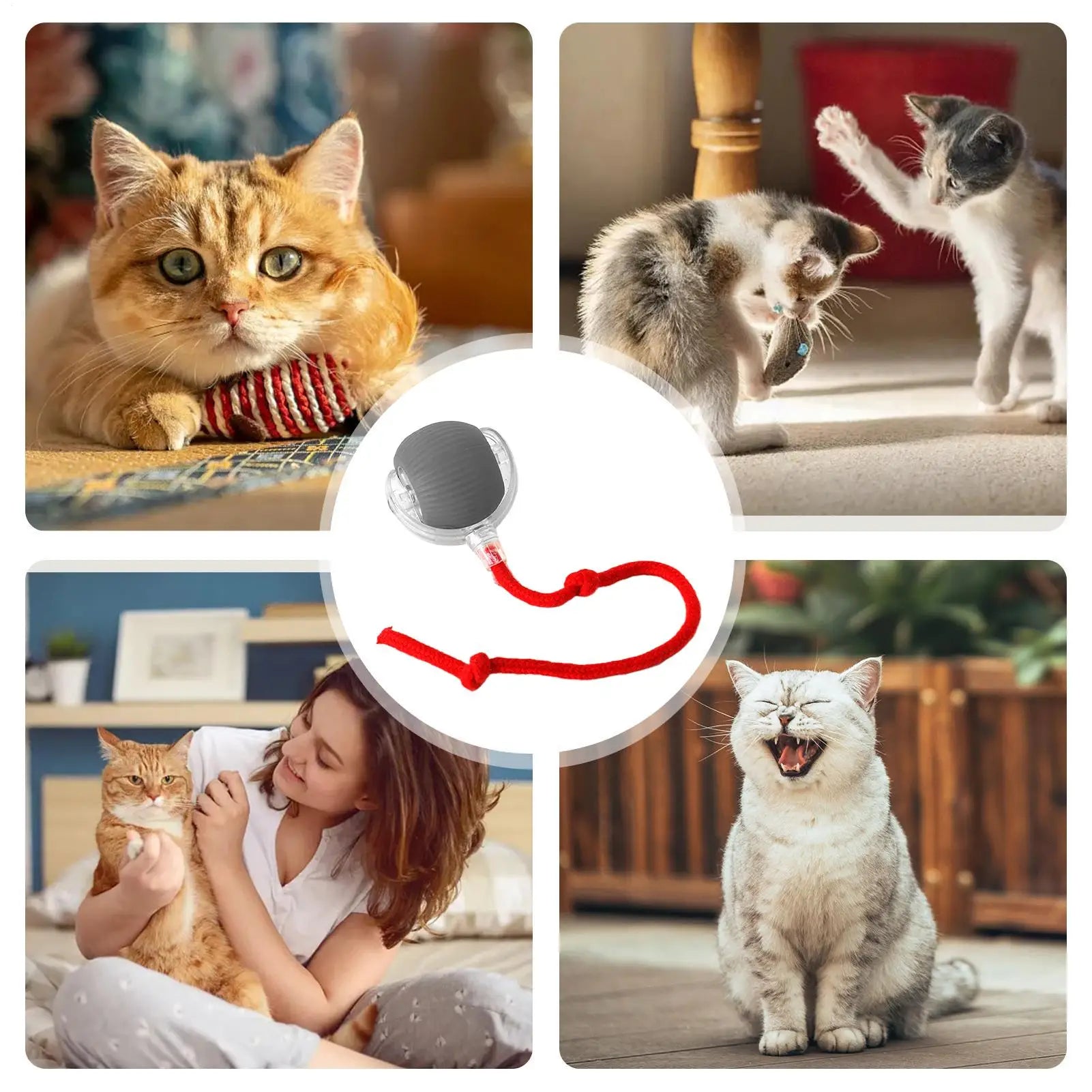 Dog and cat toys, ball, durable, self-entertainment, with rope, cat teaser ball, pet supplies, jumping ball, thud pet toys