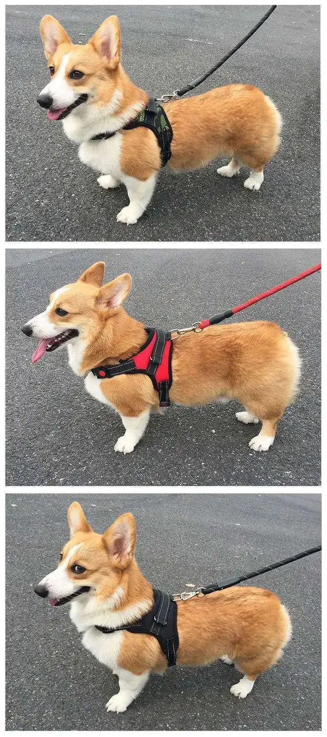 Dog Harness Quick Release Vest Pet Puppy Harness Nylon Material Breathable Pet Harness for Dog Adjustable Pet Outdoor Harness