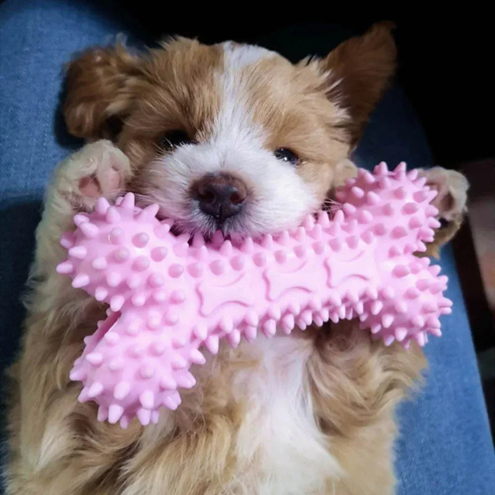 Dog Toys For Small Dogs Indestructible Dog Toy Teeth Cleaning Chew Training Toys Pet Supplies