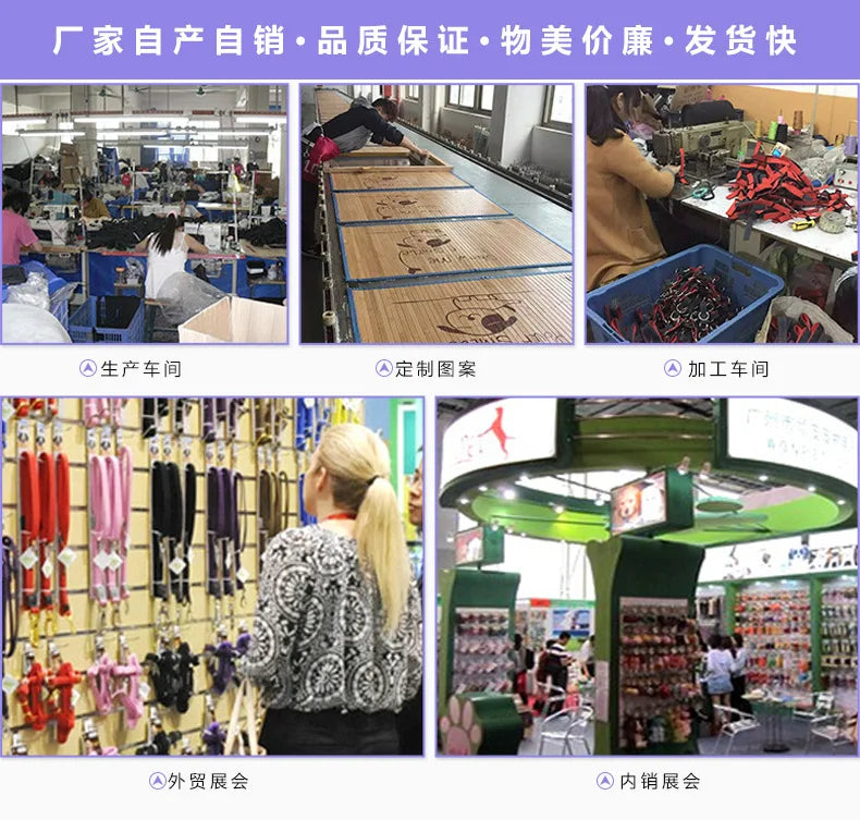 Cat Toy Set Interactive Play Kitten Toys for Indoor Cats Fun Exercise Entertainment Pet Fishing Rod Teaser Wand Plush Mouse