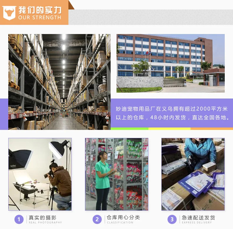 Cat Toy Set Interactive Play Kitten Toys for Indoor Cats Fun Exercise Entertainment Pet Fishing Rod Teaser Wand Plush Mouse