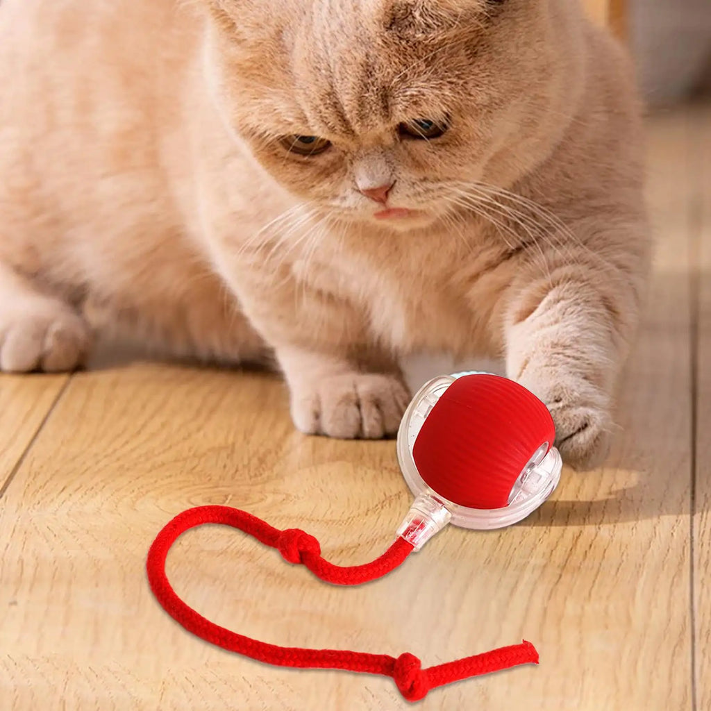 Dog and cat toys, ball, durable, self-entertainment, with rope, cat teaser ball, pet supplies, jumping ball, thud pet toys