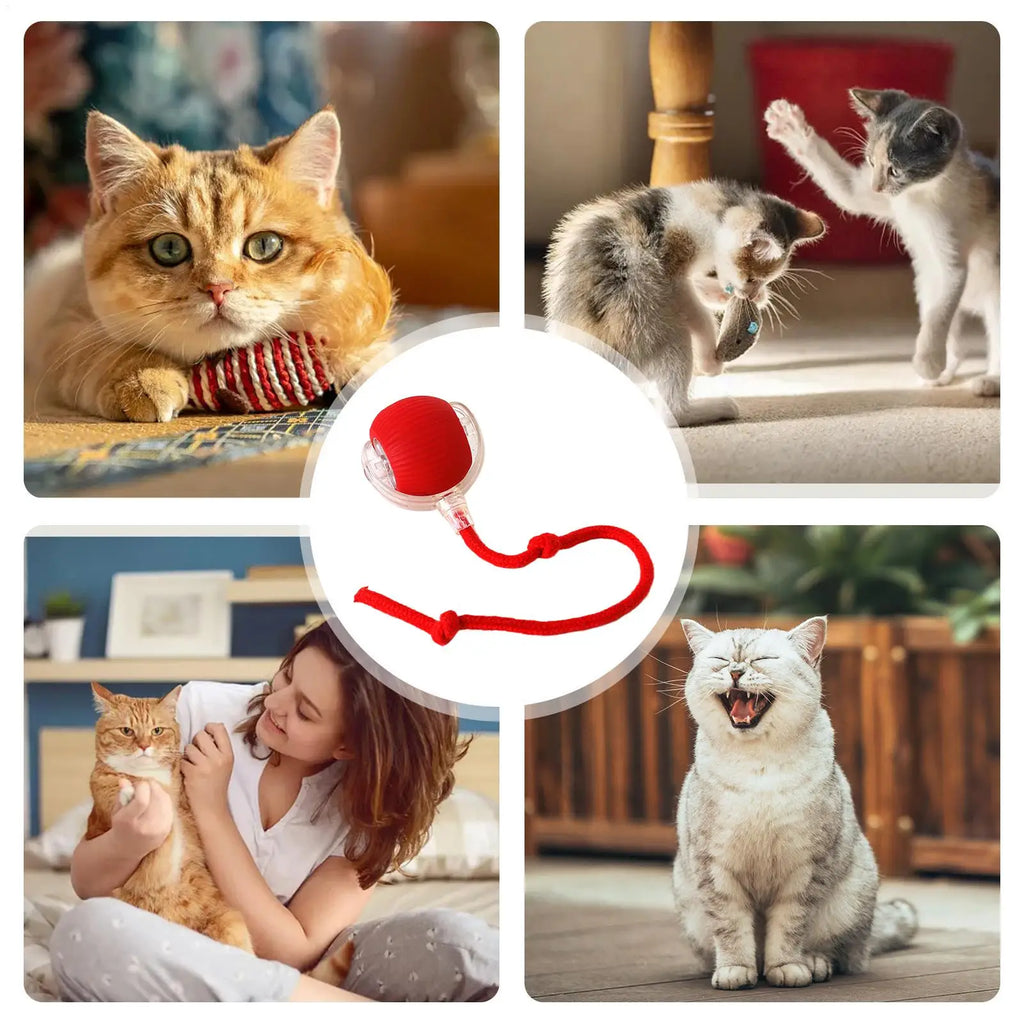 Dog and cat toys, ball, durable, self-entertainment, with rope, cat teaser ball, pet supplies, jumping ball, thud pet toys