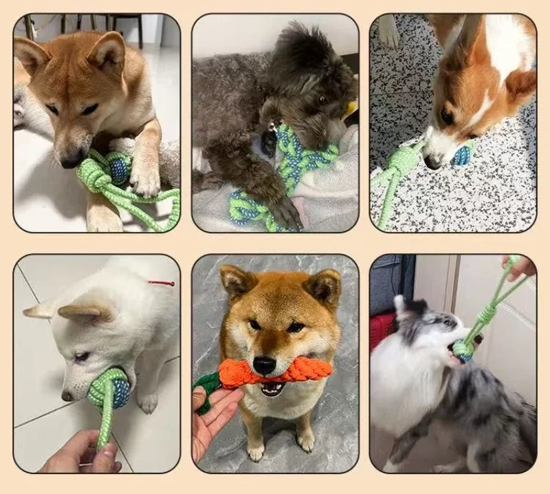 Pet Dog Toys for Large Small Dogs Toy Interactive Cotton Rope Mini Dog Toys Ball for Dogs Accessories Toothbrush Chew Puppy Toy
