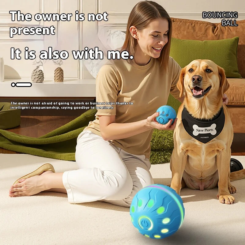 Automatic rolling ball dog and cat toys, durable dog chew ball toys, interactive cat and dog ball toys