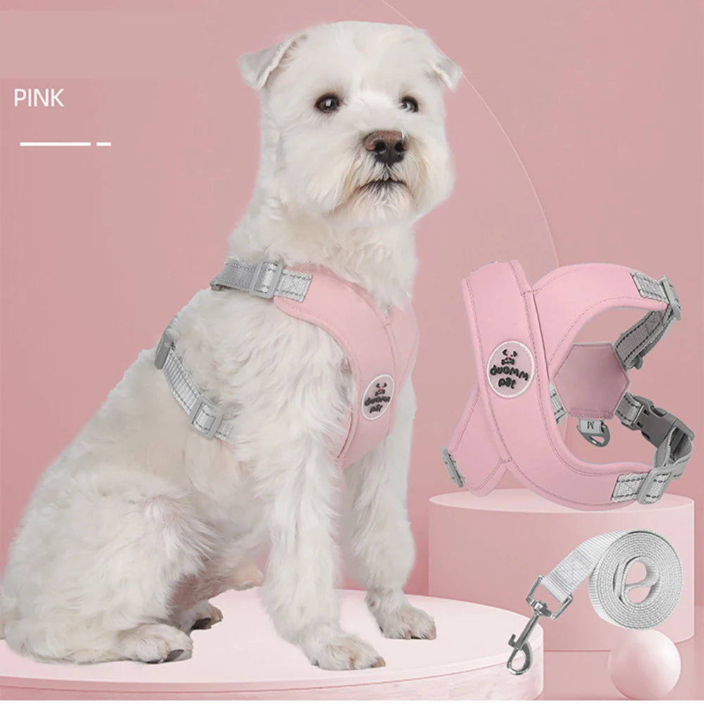 Dog Harness and Leash Set Adjustable No-Pull Pet Harness for Small/Medium Dogs, Comfortable & Secure for Walking