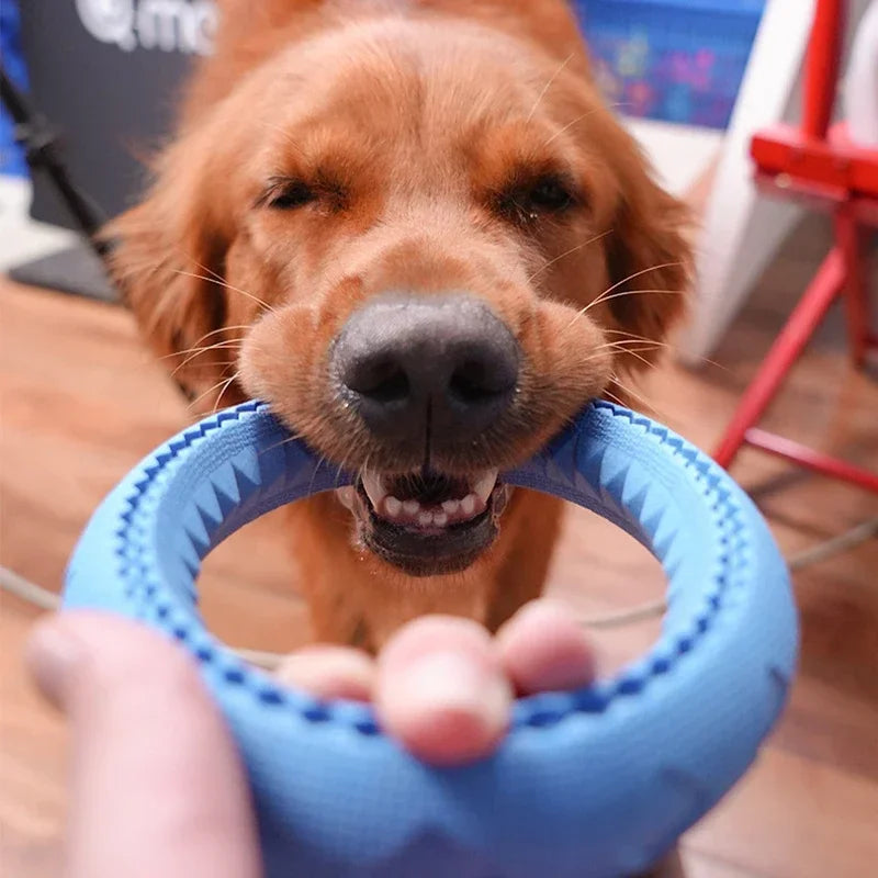 Dog Ring Toys Durable Chewing Flying Floating Training Tools Fetch Throwing Interactive Toys For Small Medium Large Dogs