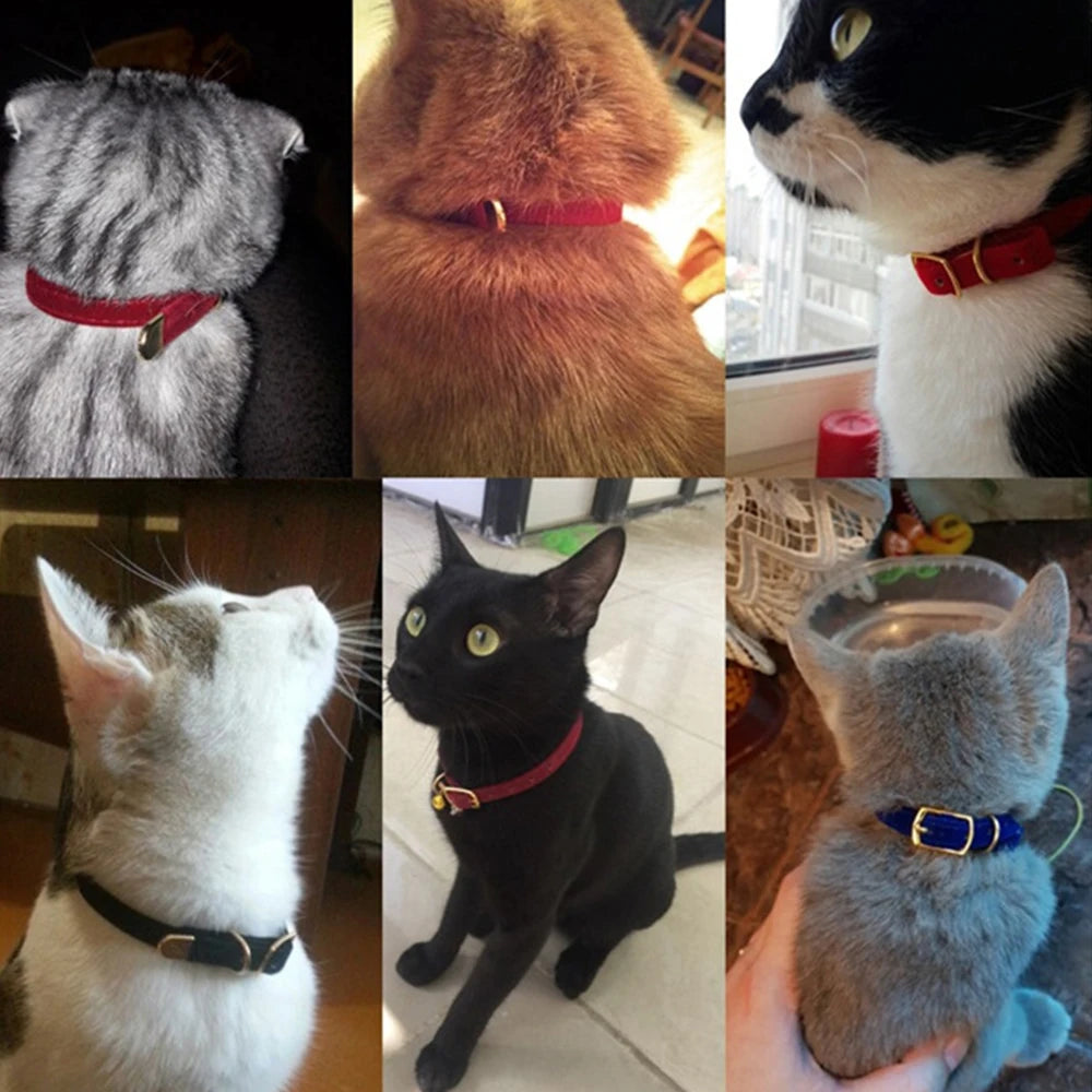 Cat Collar With Safety Cat Collars Adjustable Puppy Dog Collar For  Small Dogs Kittens Solid Pet Collarhu Products cat necklace
