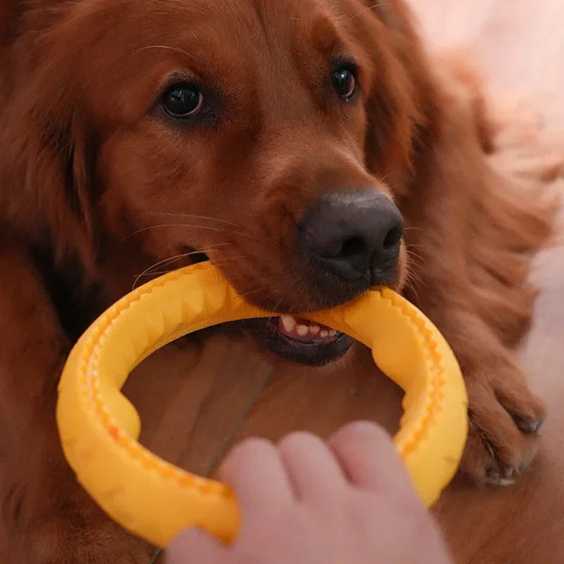 Dog Ring Toys Durable Chewing Flying Floating Training Tools Fetch Throwing Interactive Toys For Small Medium Large Dogs