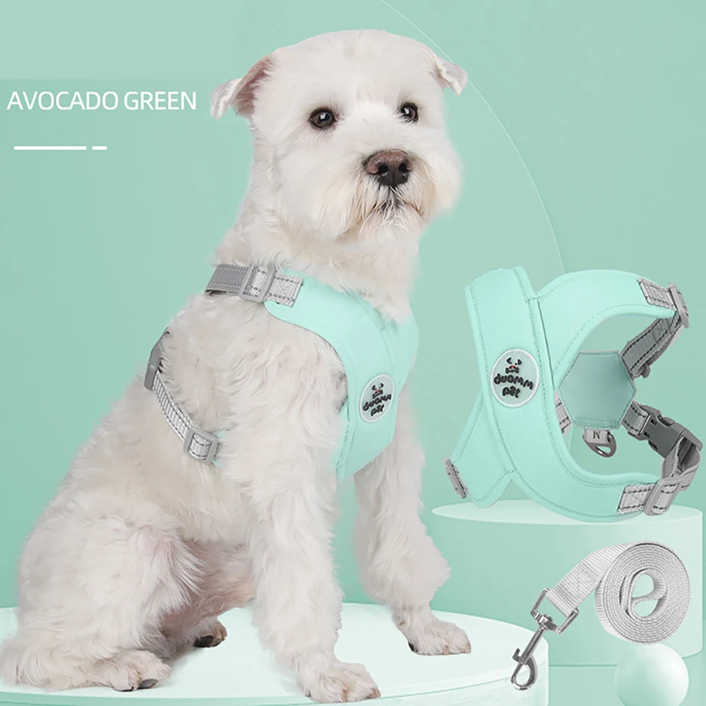 Dog Harness and Leash Set Adjustable No-Pull Pet Harness for Small/Medium Dogs, Comfortable & Secure for Walking