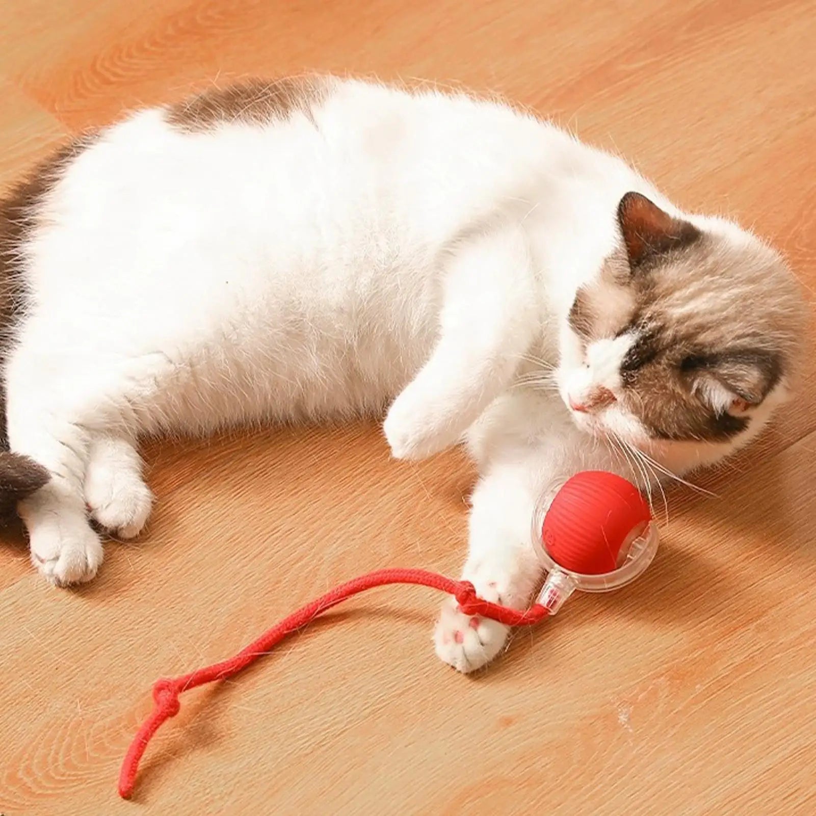 Dog and cat toys, ball, durable, self-entertainment, with rope, cat teaser ball, pet supplies, jumping ball, thud pet toys