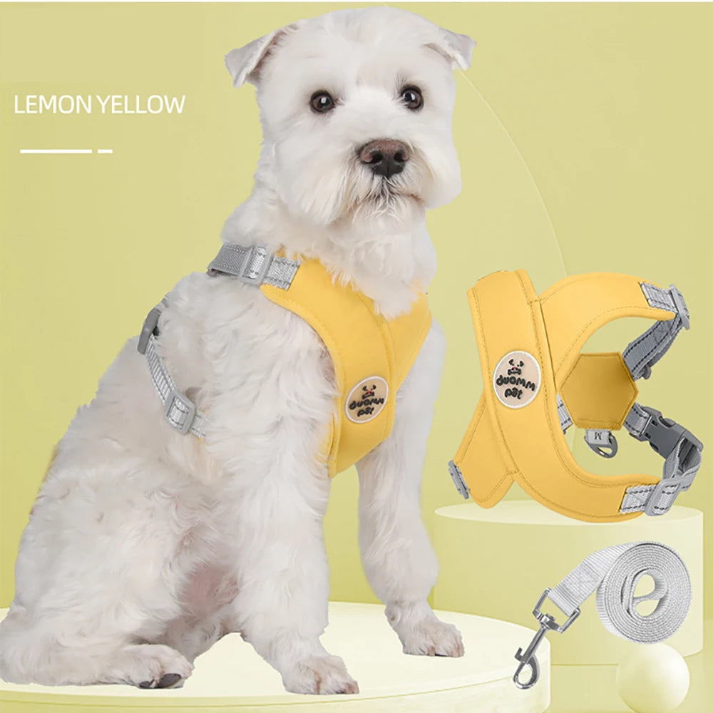 Dog Harness and Leash Set Adjustable No-Pull Pet Harness for Small/Medium Dogs, Comfortable & Secure for Walking