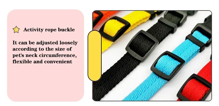 Dog Collar Solid Color Puppy Collars Medium Dogs Quickly Disengaged Pet Dog Training Collar Teddy Bichon Small Dog Collar