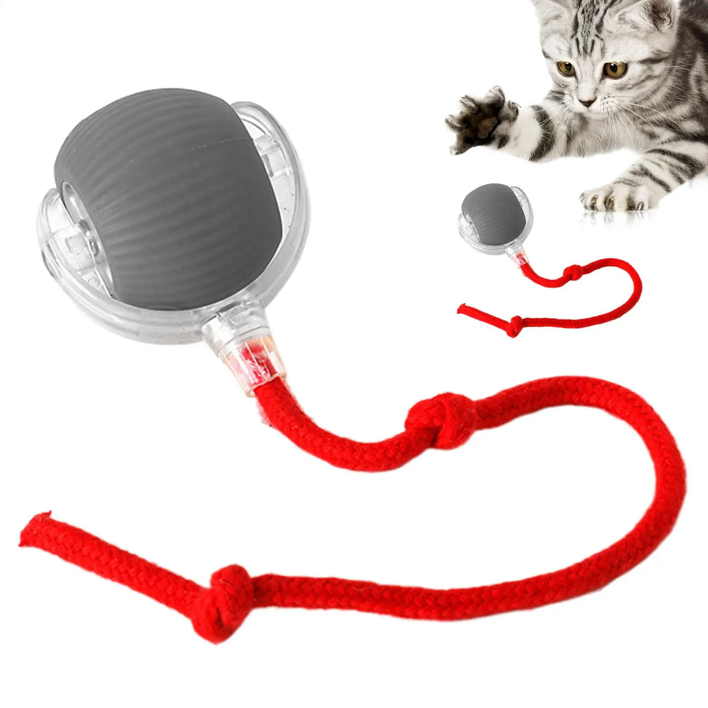 Dog and cat toys, ball, durable, self-entertainment, with rope, cat teaser ball, pet supplies, jumping ball, thud pet toys