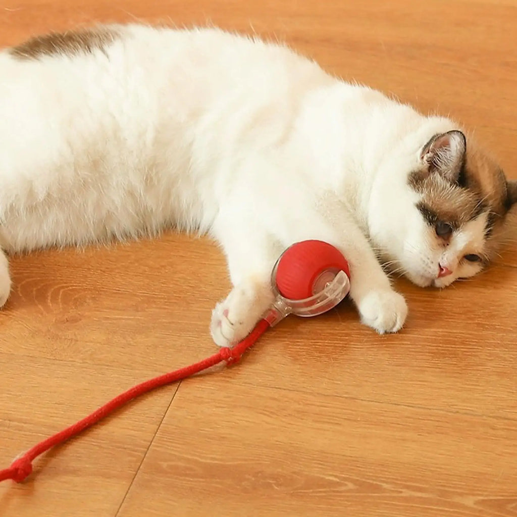 Dog and cat toys, ball, durable, self-entertainment, with rope, cat teaser ball, pet supplies, jumping ball, thud pet toys