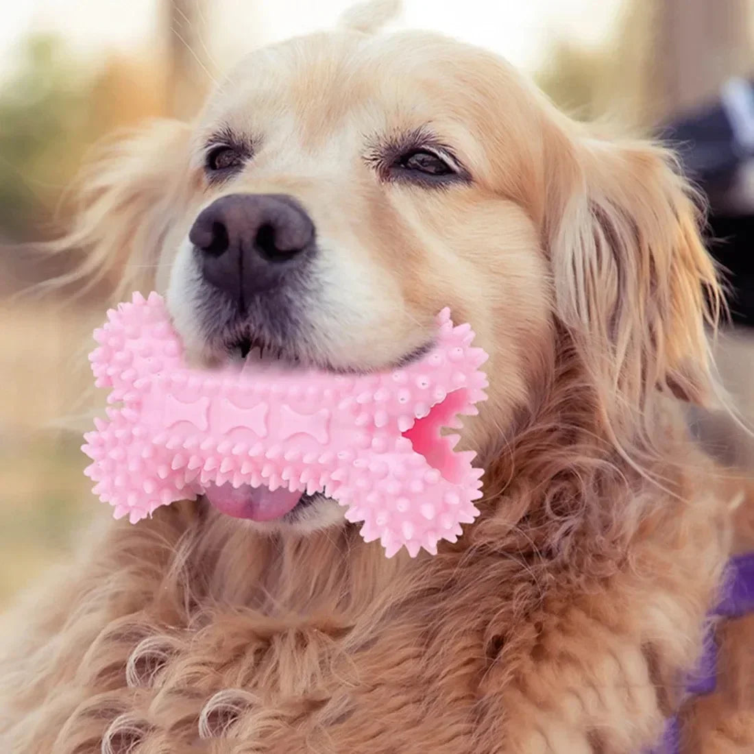 Dog Toys For Small Dogs Indestructible Dog Toy Teeth Cleaning Chew Training Toys Pet Supplies