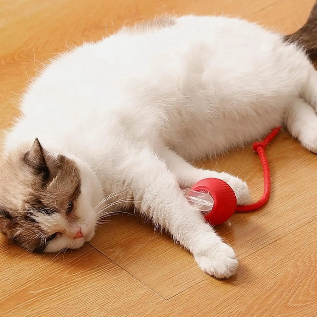 Dog and cat toys, ball, durable, self-entertainment, with rope, cat teaser ball, pet supplies, jumping ball, thud pet toys